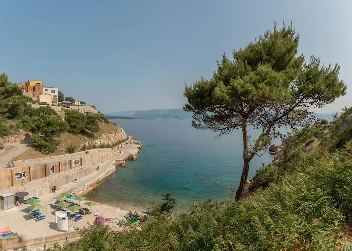 Katarina 비르브닉